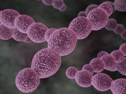 Management of Sepsis